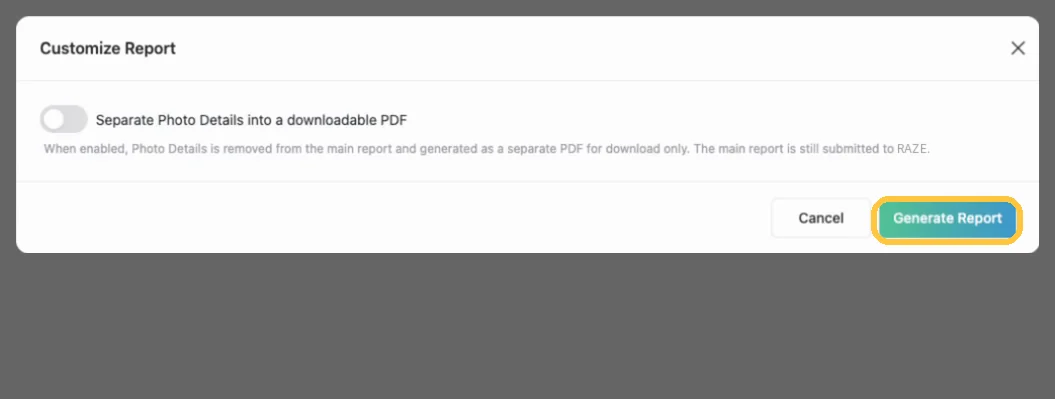 Screenshot: Generate the report