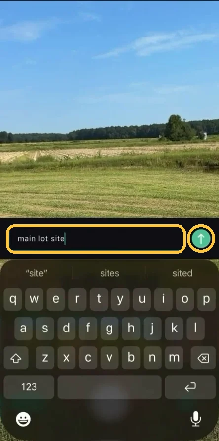 Screenshot: Type the comment and send